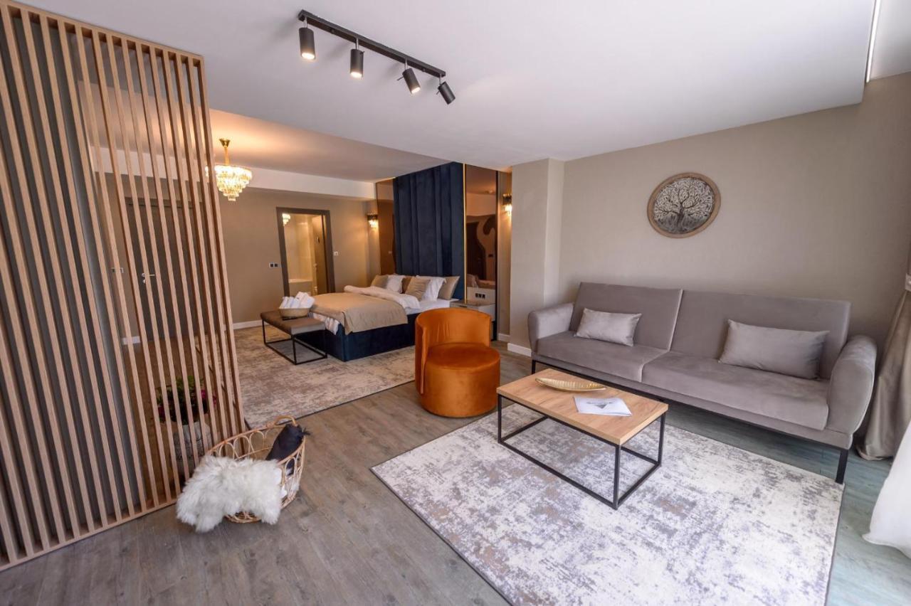 Elexus Apartments بويانا براسوف المظهر الخارجي الصورة