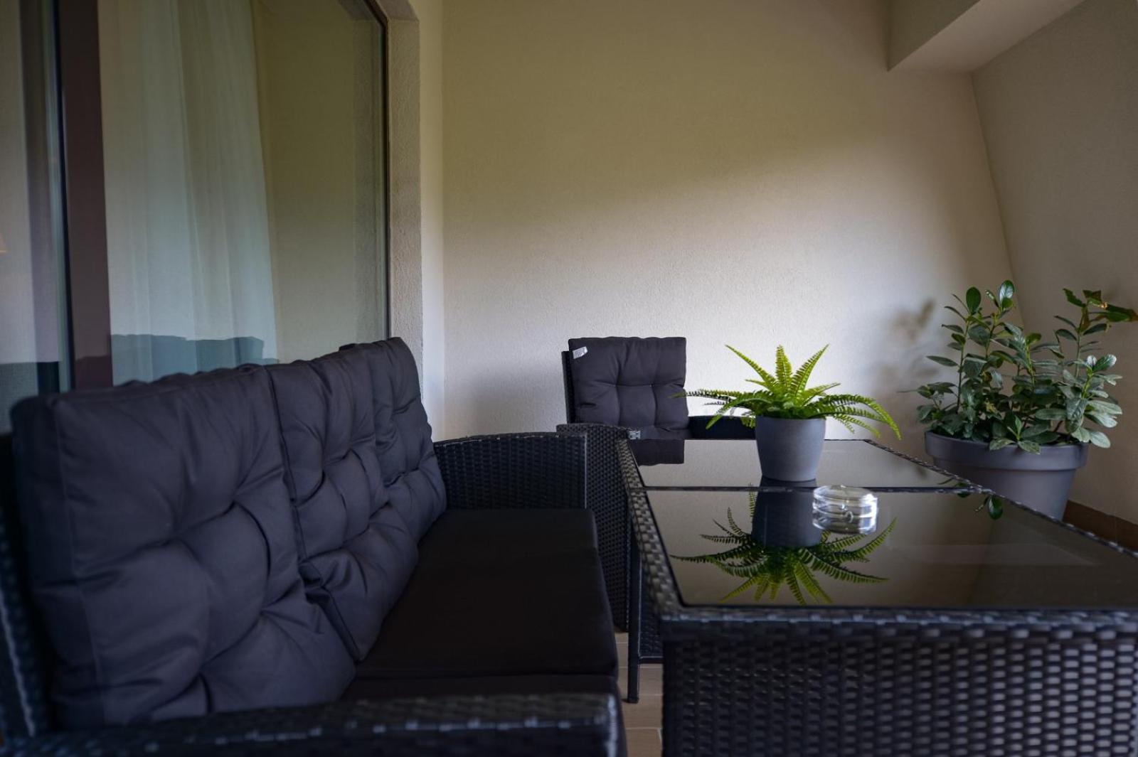 Elexus Apartments بويانا براسوف المظهر الخارجي الصورة